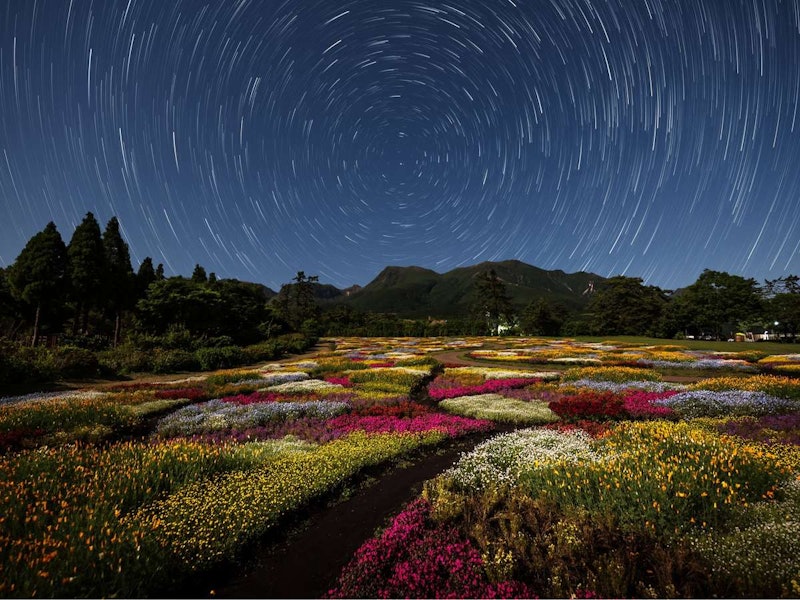 くじゅう花公園キャンピングリゾート花と星 2