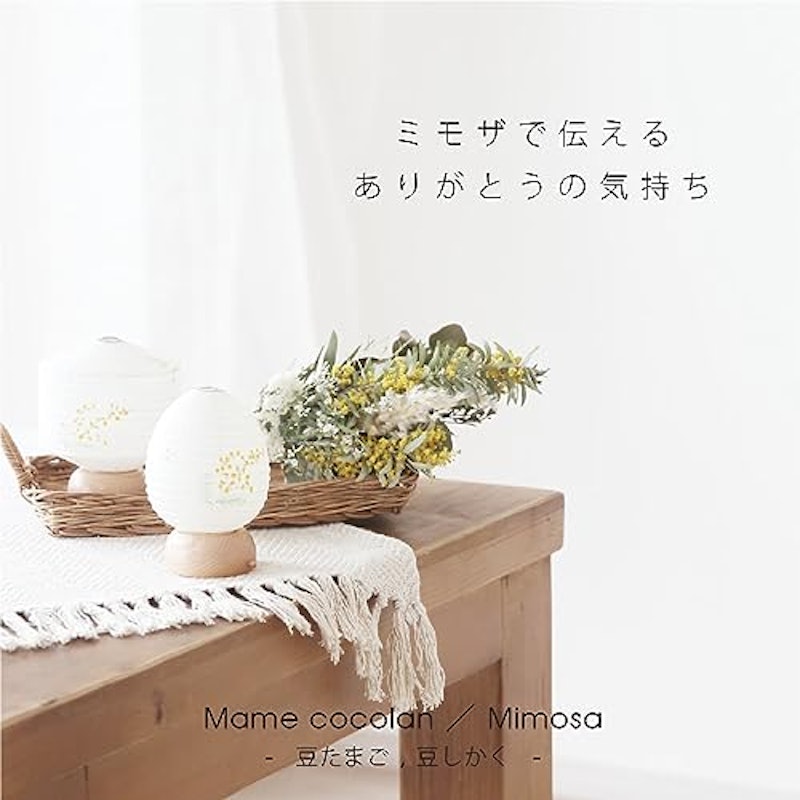 おかえり提灯 ミモザ 2