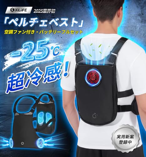 ペルチェベスト 2