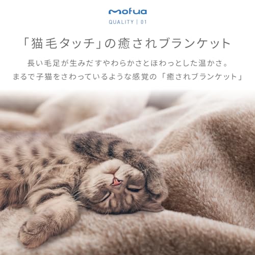 ふわもこ癒しの猫毛布 襟付き2枚合わせブランケット 3