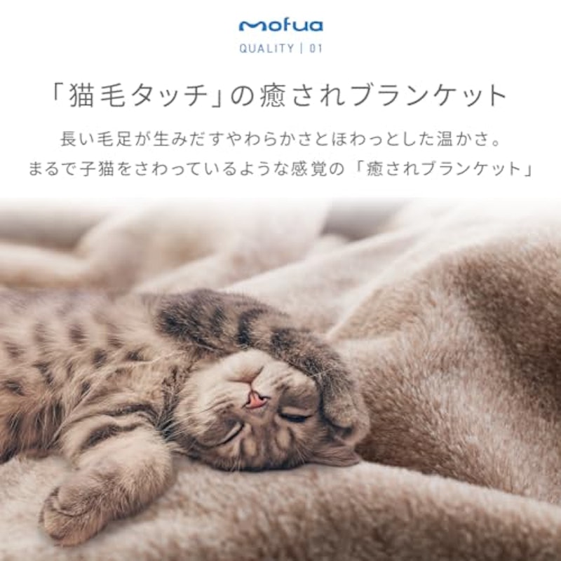 ふわもこ癒しの猫毛布 襟付き2枚合わせブランケット 3