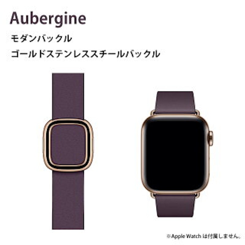 Apple Watchモダンバックルバンド 2