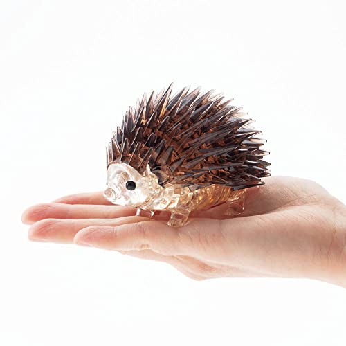 ハリネズミ 5