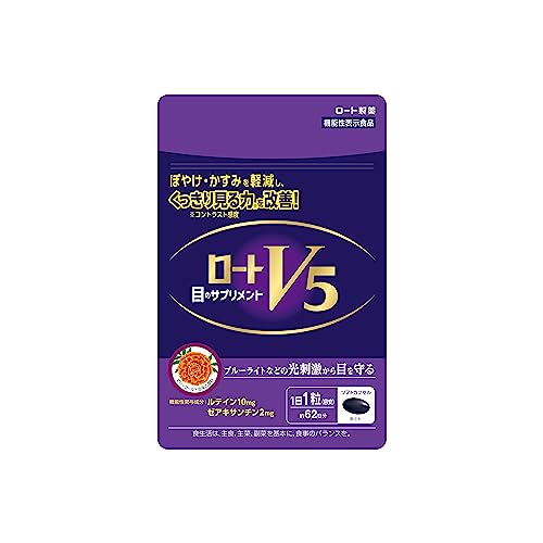 ロートV5 アクトビジョン 1