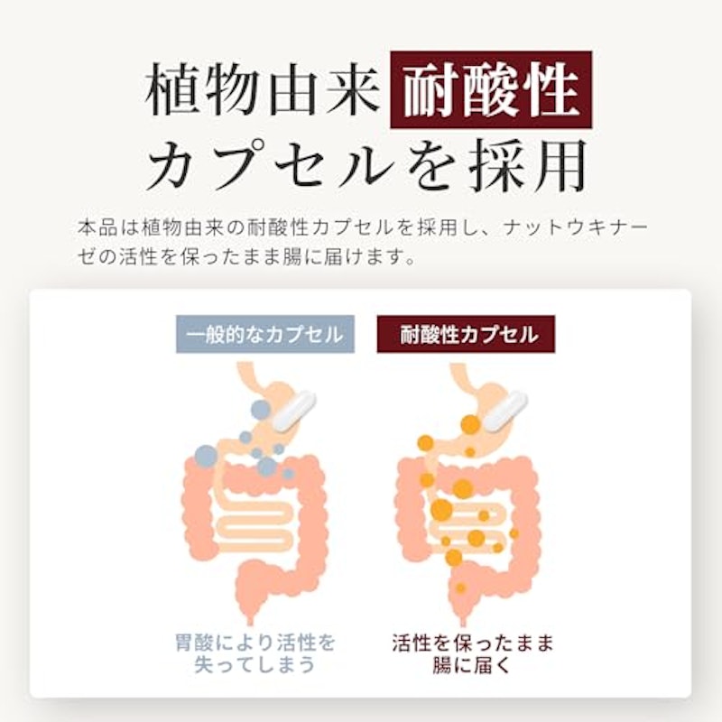 Herbase ナットウキナーゼ 4