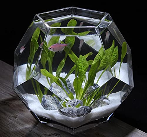金魚鉢 2