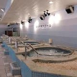 伊東温泉のホテル・旅館のおすすめ人気ランキング【2026年6月】 3