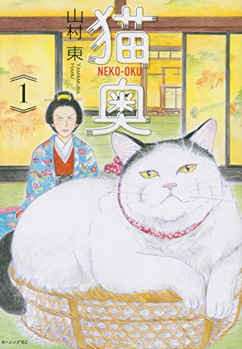 猫奥 1