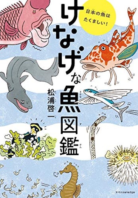 21年 魚図鑑のおすすめ人気ランキング15選 Mybest 21年 魚図鑑のおすすめ人気ランキング15選 Mybest