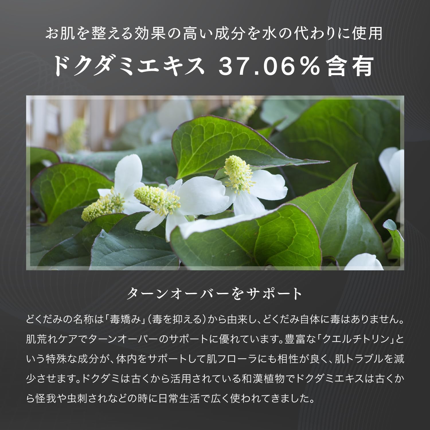 V3 シャイニング ファンデーション 3
