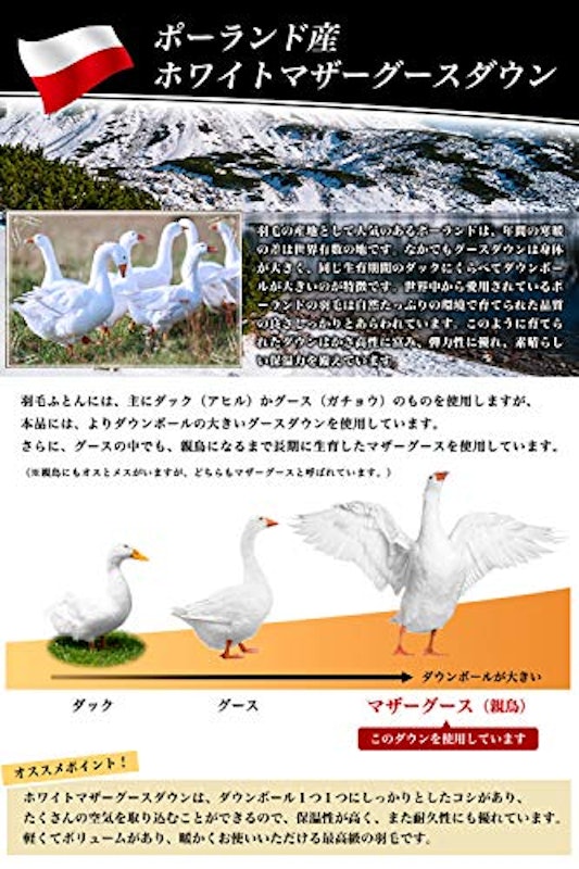 光触媒 薄掛羽毛布団 3