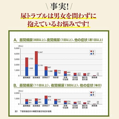 八味地黄丸 3