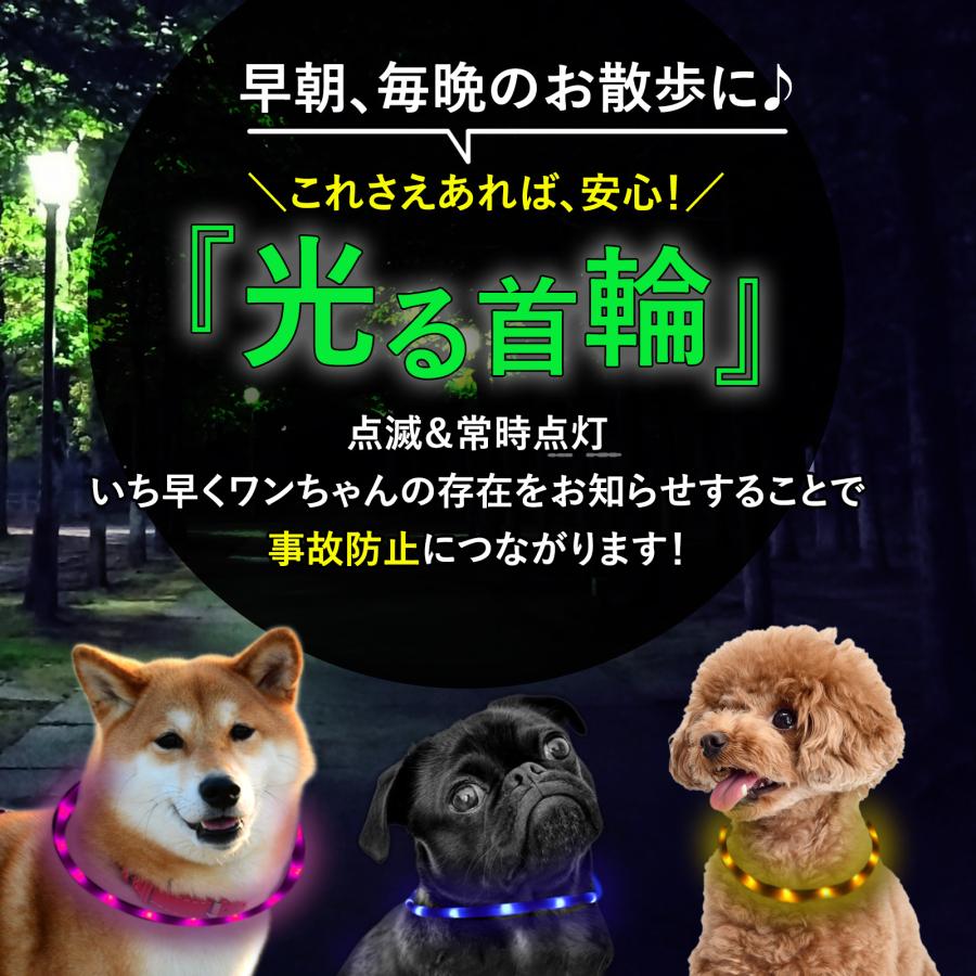 光る首輪  9