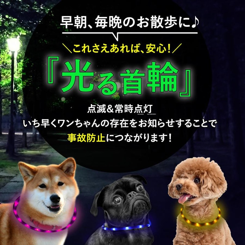 光る首輪 9