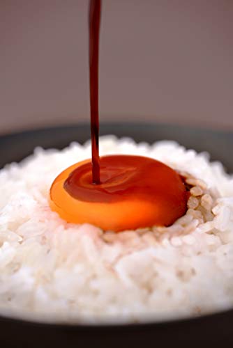 平成 5