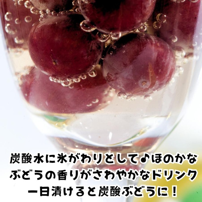 冷凍 種あり巨峰 8