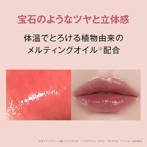 リップ スティーラー 3