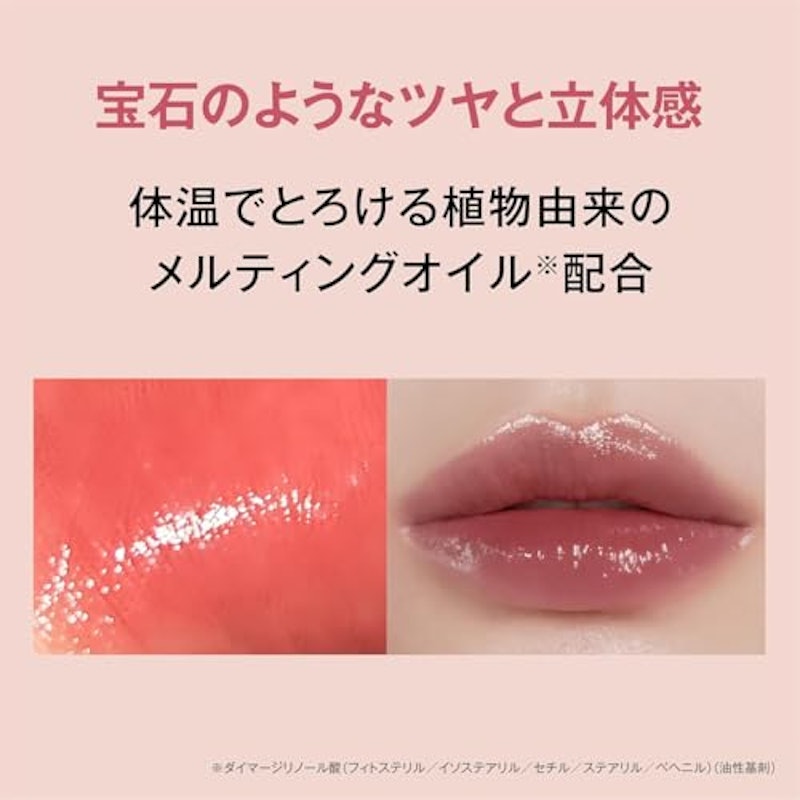 リップ スティーラー 3