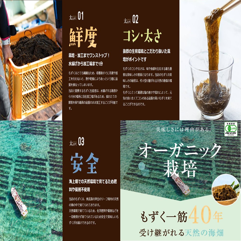 奥武島産有機太もずく 5