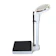 Bathroom scale 身長体重計 1