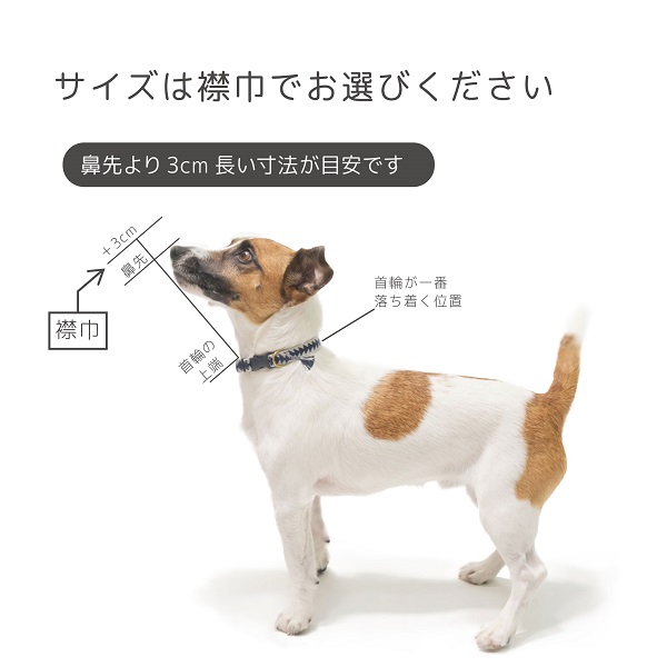 ハーフエリザベスカラー 7