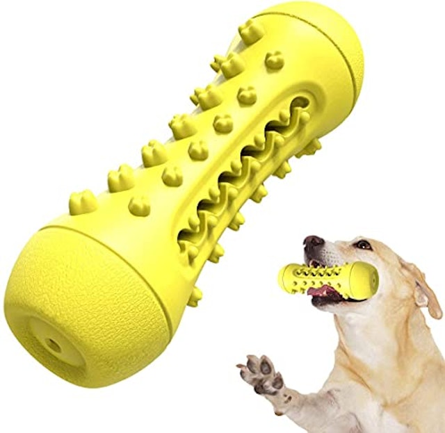 21年 犬用歯磨きおもちゃのおすすめ人気ランキング10選 Mybest 21年 犬用歯磨きおもちゃのおすすめ人気ランキング10選 Mybest