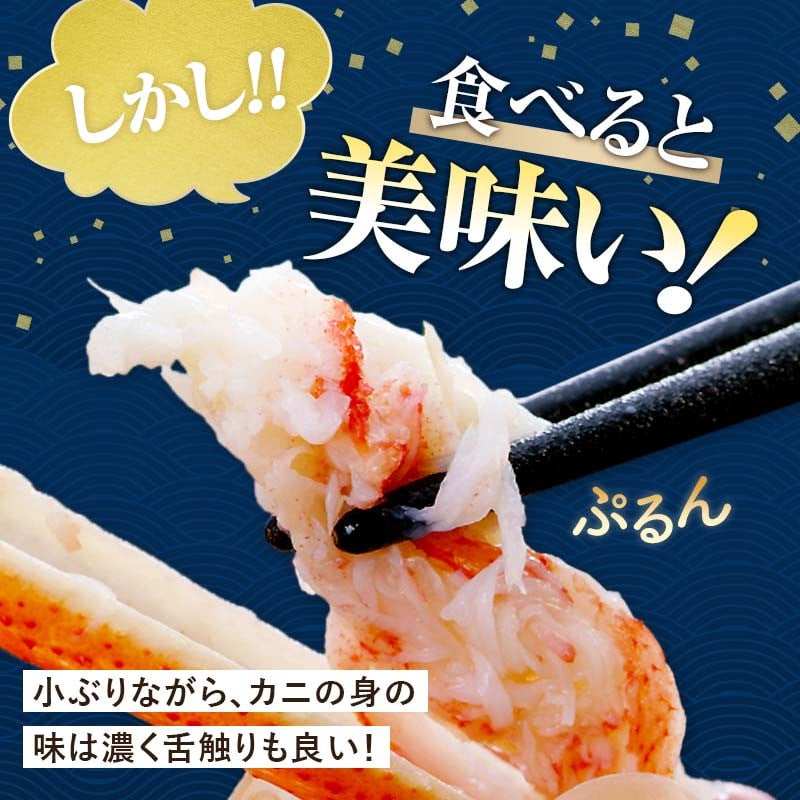 北海道噴火湾産活オオズワイガニ（中小サイズ）3kg詰め込みセット 3