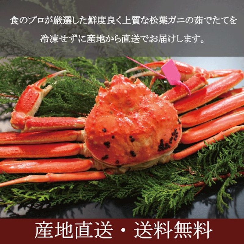 松葉ガニタグ付き 6