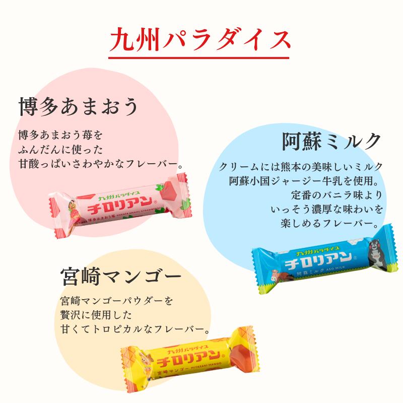 チロリアン 九州パラダイス詰め合わせ 3