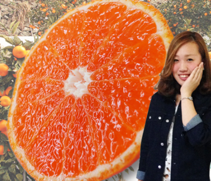 小西さん家の蔵出しみかん 赤秀 1