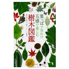 21年 樹木図鑑のおすすめ人気ランキング10選 Mybest 21年 樹木図鑑のおすすめ人気ランキング10選 Mybest