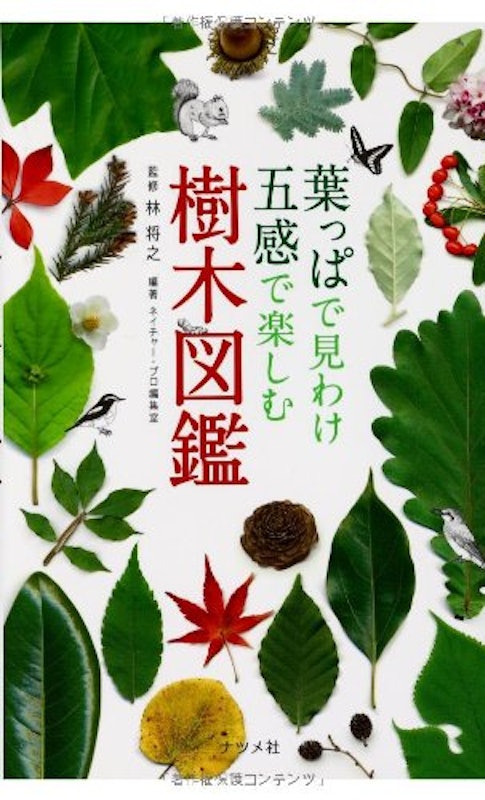 葉っぱで見わけ五感で楽しむ樹木図鑑 1