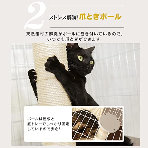 キャットランドケージ 5