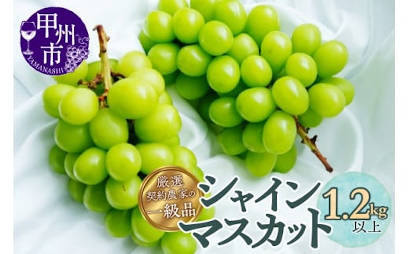 厳選契約農家の一級品シャインマスカット 1