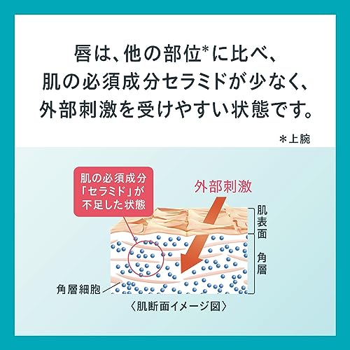 リップケアクリーム 4