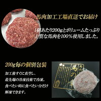 馬肉ハンバーグ 4