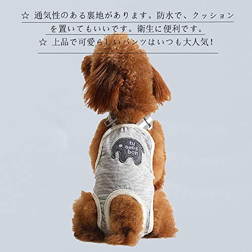 21年 犬用サニタリーパンツのおすすめ人気ランキング10選 Mybest