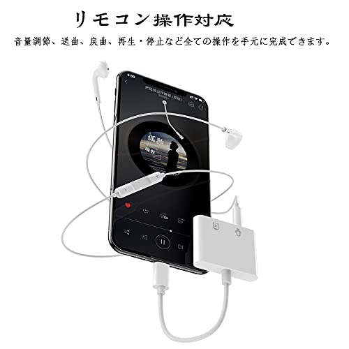 iPhoneイヤホン変換ケーブル 4
