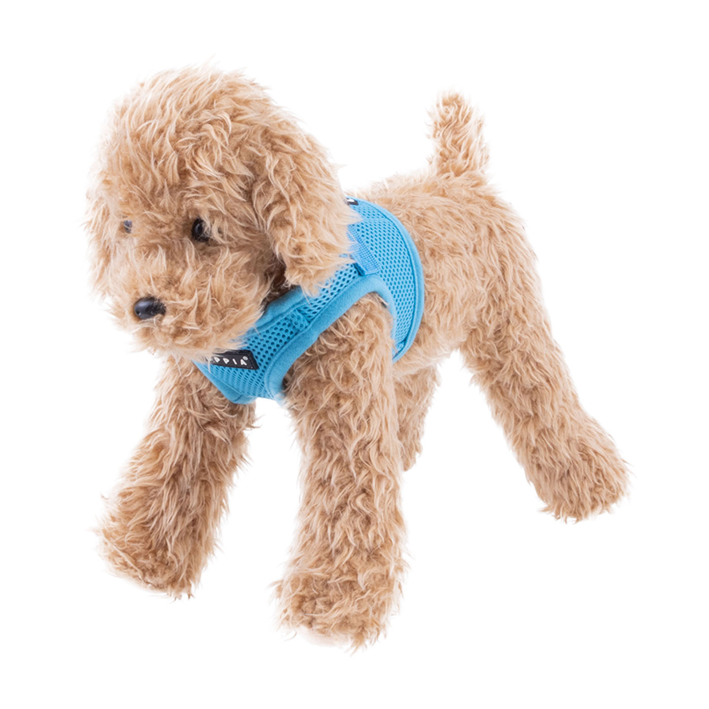 小型犬用ハーネスのおすすめ人気ランキング【2026年6月】 2