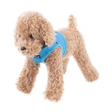 小型犬用ハーネスのおすすめ人気ランキング【2026年6月】 2