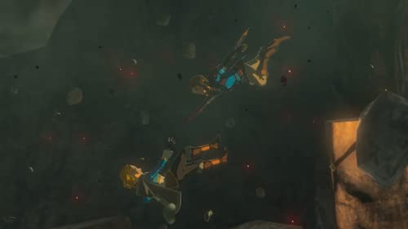 ゼルダの伝説 ティアーズ オブ ザ キングダム Collector's Edition 5