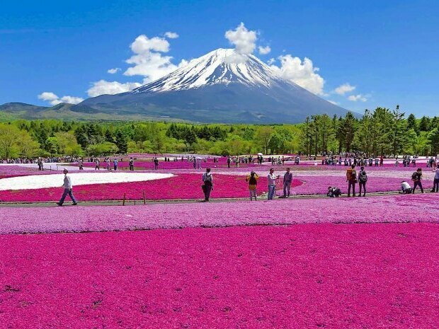 街コンサイトのおすすめ人気ランキング8選 恋活に Mybest