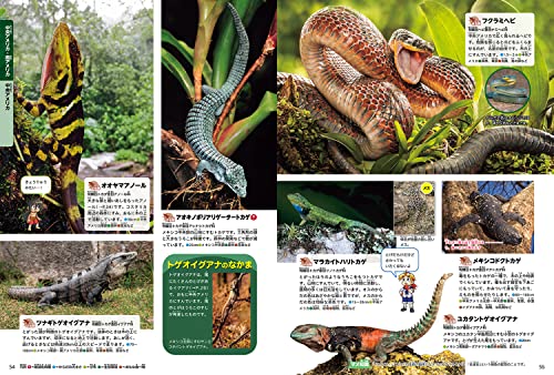 角川の集める図鑑ＧＥＴ！ は虫類・両生類  5
