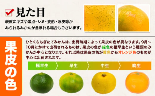 ひとくちもぎたてみかん 5