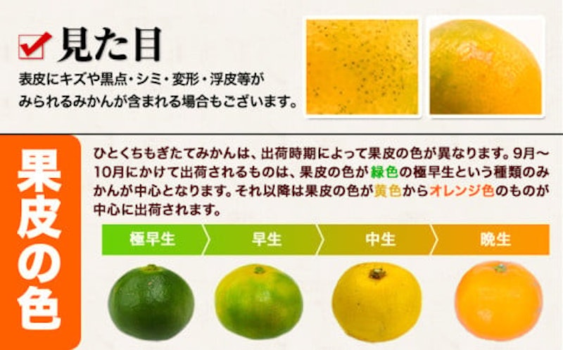 ひとくちもぎたてみかん 5