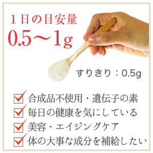 核酸DNA 2