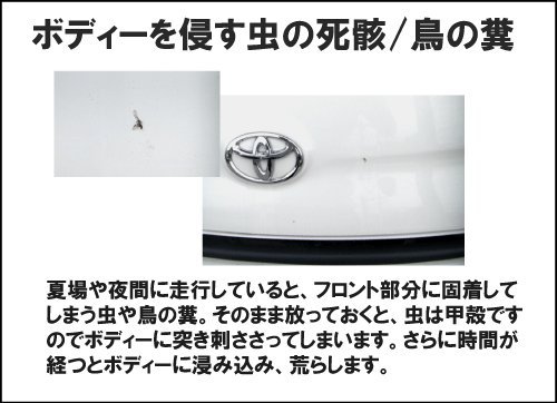 虫取りクリーナー 3