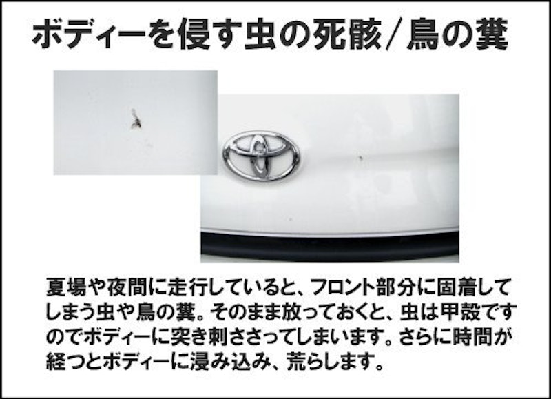 虫取りクリーナー 3