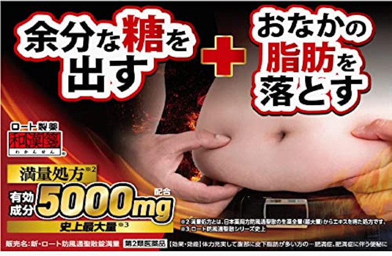 ロート防風通聖散錠満量a 2