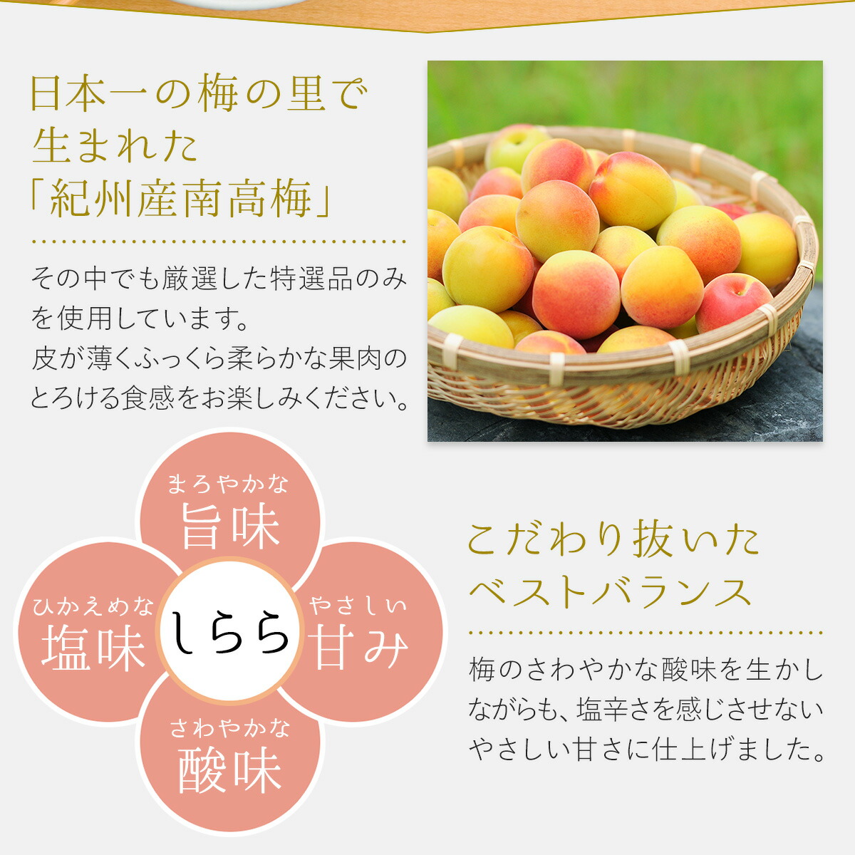 しらら 4